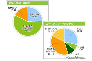 愛犬と1泊以上の旅行経験者は6割、内9割がクルマで移動 画像