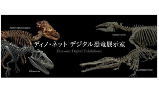 恐竜骨格をVRで見学「ディノ・ネット デジタル恐竜展示室」 画像
