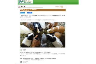 東京都多摩動物公園「オータムスクール」参加者募集 画像