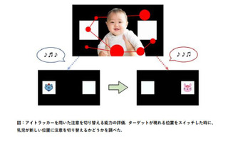 早産児、注意の切り替え機能の弱さ…認知機能に関連 画像