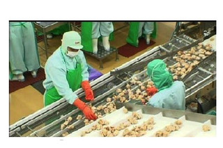初の海外プログラム「Out of KidZania ニチレイフーズ 冷凍食品工場 in タイ」 画像