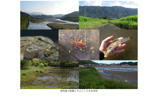高大学生向け講座「身近な湿地帯と生物多様性」7/24 画像