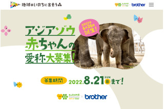 東山動植物園、アジアゾウの赤ちゃんの名前募集8/21まで 画像