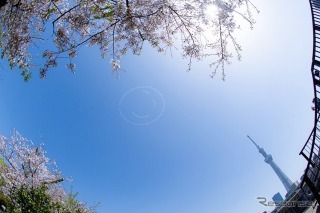 【夏休み2022】大空にニコちゃんマーク…茨城県上空 画像