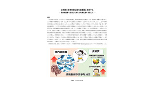 京都大学、幼児期の感情制御に腸内細菌叢が関係と発表 画像