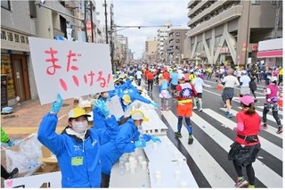 東京マラソン2024 ボランティアメンバー&ジュニア募集 画像