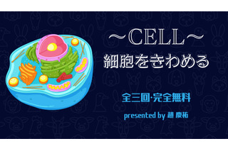 スコラボ、小中学生向け「～CELL～ 細胞をきわめる」開講 画像