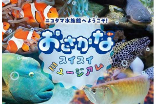 【夏休み2024】玉川高島屋S・C「ニコタマ水族館」8/16-9/1 画像