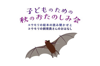 コウモリの絵本読み聞かせ＆飼育員の話…国際子ども図書館11/17 画像