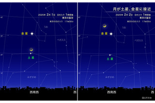 月と土星・金星が接近…2025年2月上旬 画像