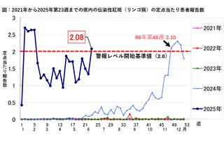 伝染性紅斑(リンゴ病)急増、妊婦は要注意…千葉県は警報レベルへ 画像