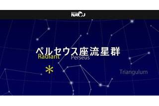ペルセウス座流星群、8/11から3夜がチャンス 画像