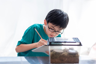 【夏休み2025】自由研究、親はどこまでサポート？84%の家庭が実践する子供主体の進め方 画像