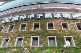 【高校野球2025夏】東洋大姫路、序盤リード守り切る 花巻東との激闘制し16強進出 画像