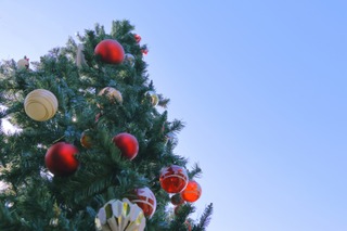 【中学受験】来月行ける中高一貫・男子校「学校見学」12月…芝、巣鴨など 画像
