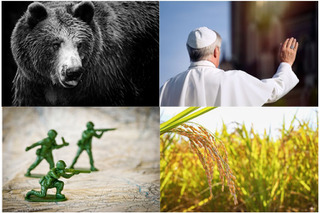 【中学受験2026】速報11・12月実施の入試「時事問題」ローマ教皇・近年の紛争・コメ・熊など 画像