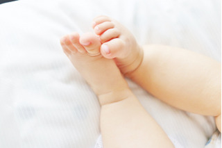 最難関・灘中が国語で投じた一石…パレスチナの現代詩から読み解く、今求められる読解力 画像