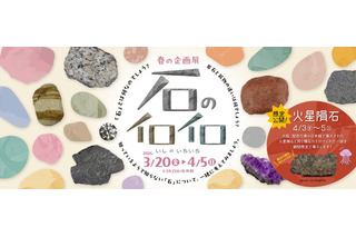 【春休み2026】「石のイロイロ」多摩六都科学館で3/20開幕、火星隕石の特別展示も 画像