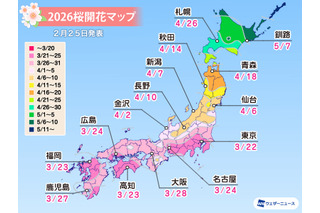 桜開花予想、東京3/22…つぼみ調査で西日本は「先が黄色に」 画像