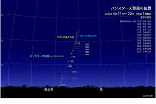 新彗星「パンスターズ彗星」4月中旬見ごろ…肉眼でも観察チャンス 画像