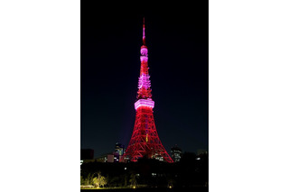 ピンクに染まる東京タワー・スカイツリー・大阪城・清水寺、ピンクリボンで10/1 画像