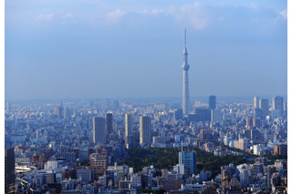 時事・世相ランキング、東京五輪や富士山世界文化遺産登録などがランクイン 画像