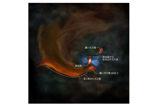 原始星と「星の卵」が同居、誕生現場を世界初観測…国立天文台 画像