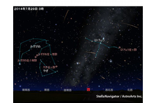 みずがめ座δ流星群が7/29極大、30日やぎ座α流星群も 画像