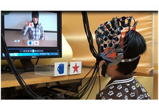 JSTと上越教育大、幼児の脳の働きライブ学習とテレビ学習で異なることを解明 画像