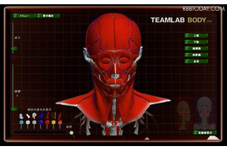 人間の動きを全方位再現、3D人体解剖サイトが無料一般公開 画像