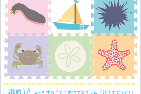 葛西水族園で海の生き物をじっくり観察・発見、第1回は「カニ」 画像