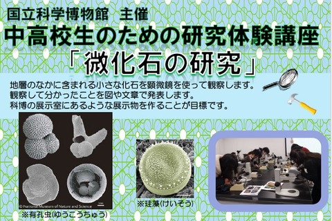 【夏休み】中高生対象、地層の中の小さな化石の研究体験講座8/22-23 画像