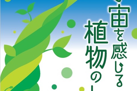 JAXA、ISSでの実験を紹介「宇宙を感じる植物のしくみ」無料発行 画像