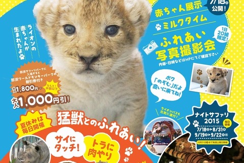 【夏休み】那須サファリパークでライオンの赤ちゃん抱っこ体験7/18より 画像