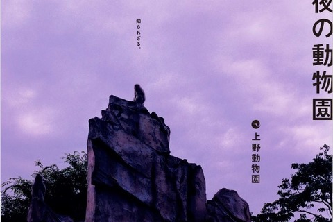 【夏休み】眠るパンダや狼が活動、上野「真夏の夜の動物園」8/8-16 画像