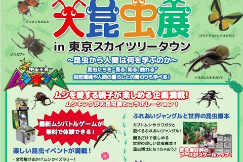 【夏休み】巨大ヘラクレスも登場、スカイツリー「大昆虫展」8/25まで 画像
