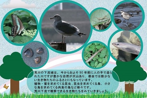 【夏休み】荒川の生物を知ろう…ミニ釣り堀も登場7/25-8/30 画像