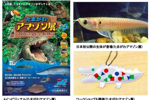 【夏休み】玉川高島屋で「アマゾン展」開催…夏休みこども教室も 画像