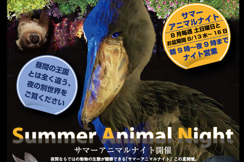 【夏休み】神戸どうぶつ王国ナイトズー…ワオワオアイランド初開催 画像