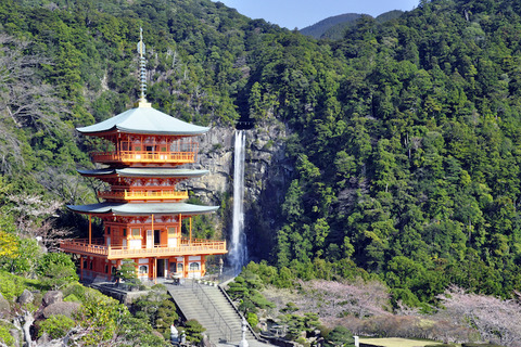 2015シルバーウィーク、人気Top3は東海・関西方面 画像