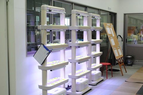 屋内で簡単に…「箱庭栽培プロ」学校向けに拡販 画像