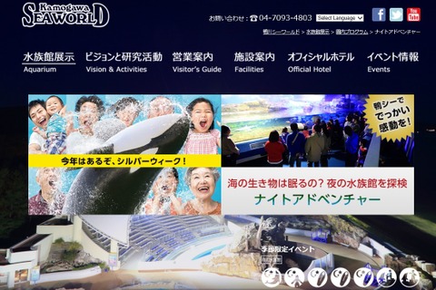 海の生き物は眠るの?鴨シーで夜の水族館探検 画像