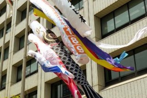 横綱白鵬やさかなクン参加、厚労省「こいのぼり掲揚式」4/25 画像