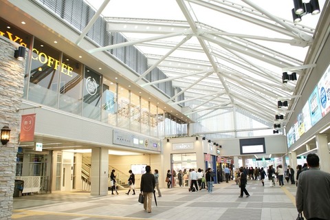 おだきゅう親子環境教室、小学生親子30組を5/30まで募集 画像