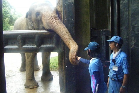 【夏休み2016】天王寺動物園「サマースクール」参加小学生募集 画像