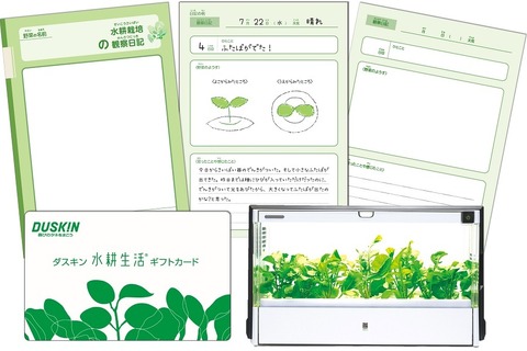 【夏休み2016】自由研究に活用、観察日記付「水耕生活ギフトカード」 画像
