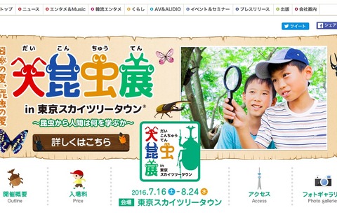 【夏休み2016】スカイツリーでふれる・見る「大昆虫展」7/16-8/24 画像