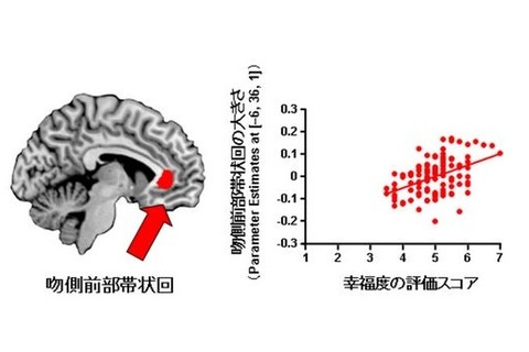 「幸せ」はトレーニングで増強できる!? 生理学研究所が発表 画像