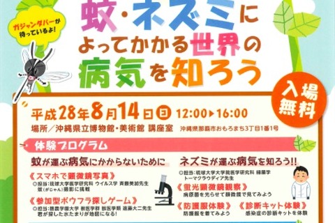 【夏休み2016】蚊やネズミの感染症を学ぼう、沖縄自由研究イベント8/14 画像