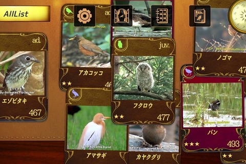 500種類のオリジナル動画配信、図鑑アプリ「動く野鳥コレクション」 画像